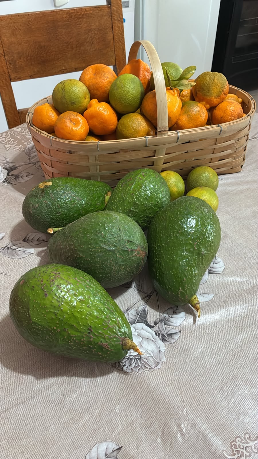 Abacates e frutas colhidos no sítio